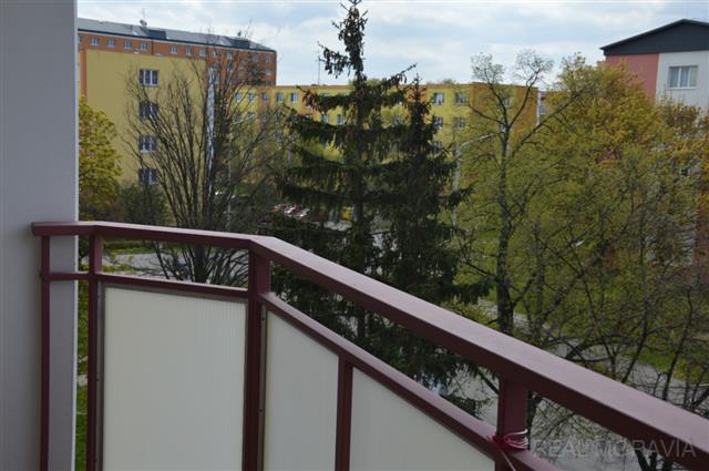 foto 3 [3/8]