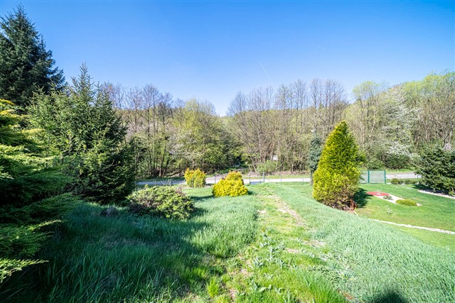 pozemek u chaty [10/42]